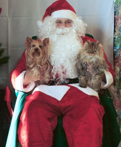 Honeybear and Santa smaller.jpg